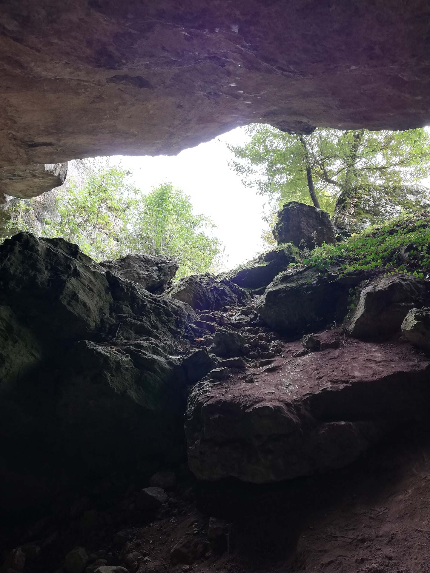 IMG_20190926_113858.jpg