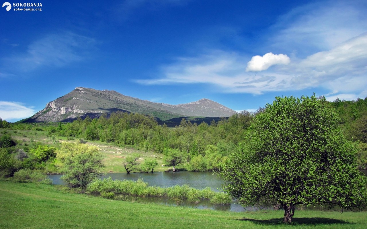 Sokobanja-1-.jpg