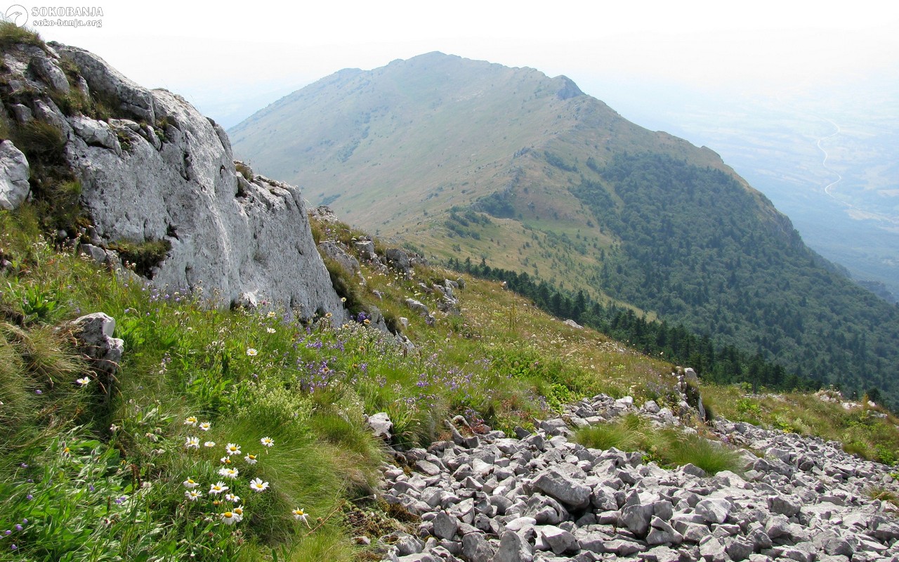 Sokobanja-2.jpg