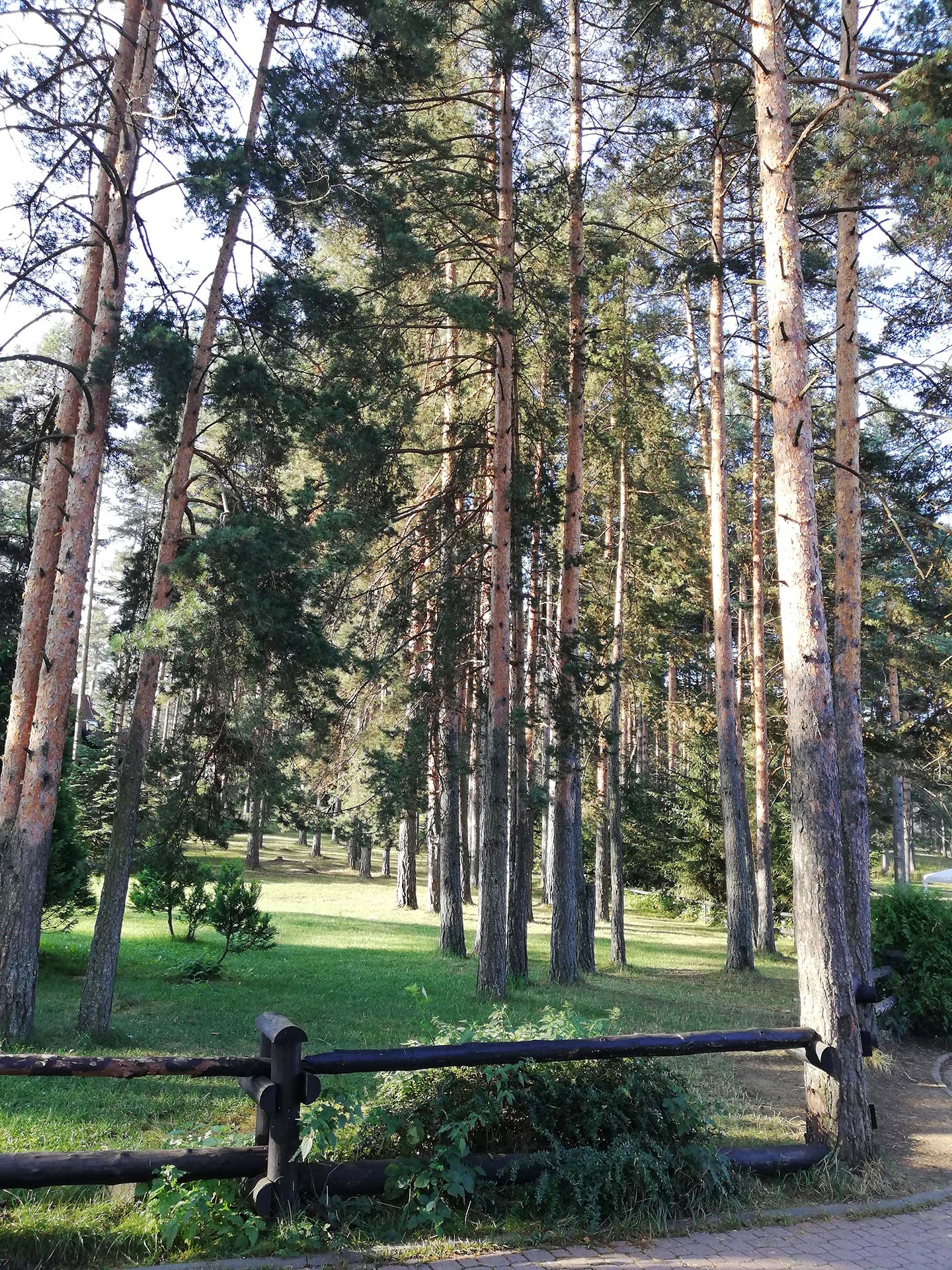 Zlatibor-3.jpg